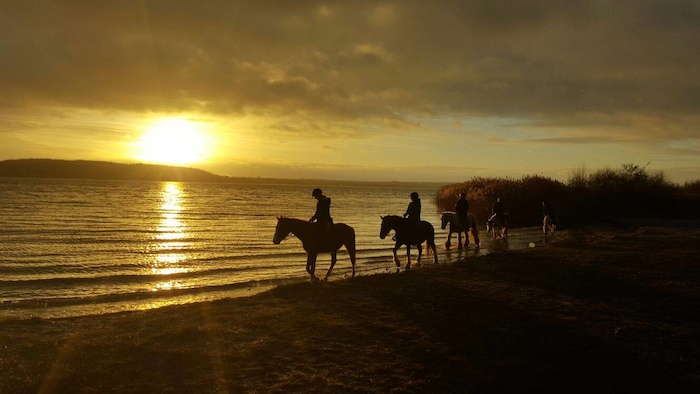 Im Sonnenuntergang reiten Kinder der Reiterferien Sachsen