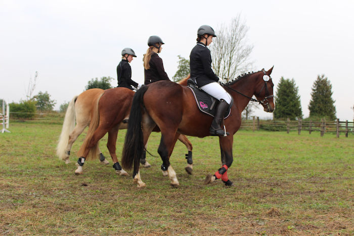 In den Winterferien Dresden reiten drei Mädchen auf Pferden
