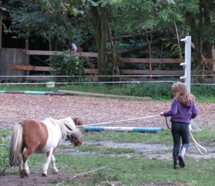 Ein Mädchen der Reiterferien für Kinder Sachsen zieht ein Pony