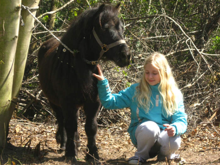 Ein Mädchen der Reiterferien Sachsen ist bei ihrem Pony