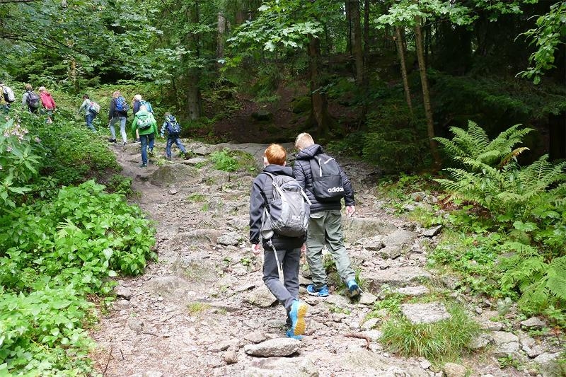Bei dem Saarland Ferienprogramm wandern Kinder durch den Wald 