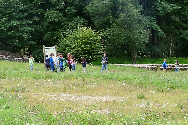 Kinder im Ferienangebot Nordsee spielen auf einer Wiese