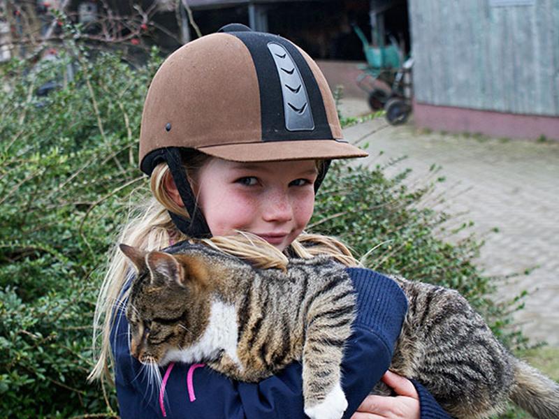 Teilnehmer der Reiterferien Ostern haben Katzen