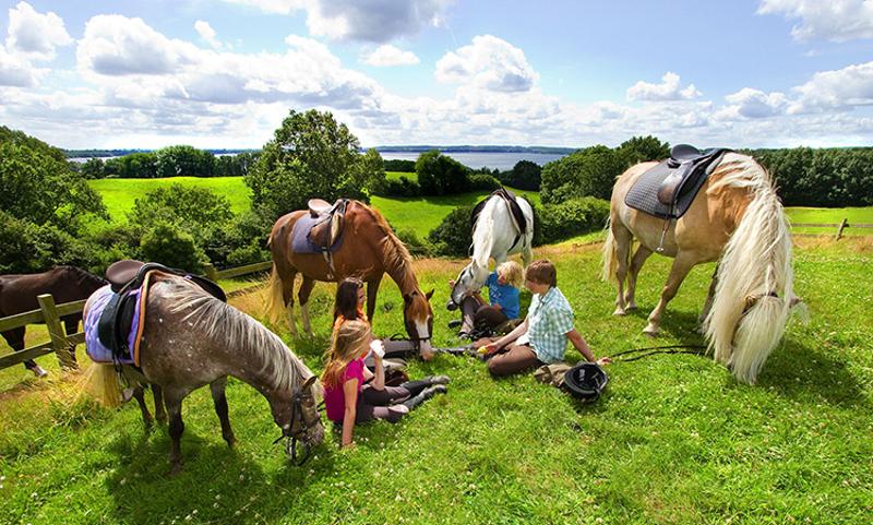 Teilnehmer der Reiterferien Ostern sitzen auf einer Wiese