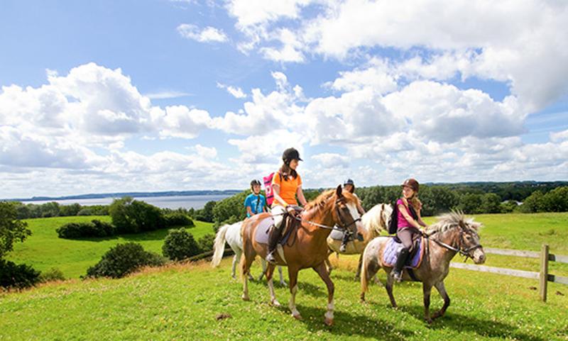 Teilnehmer der Reiterferien Ostern reiten