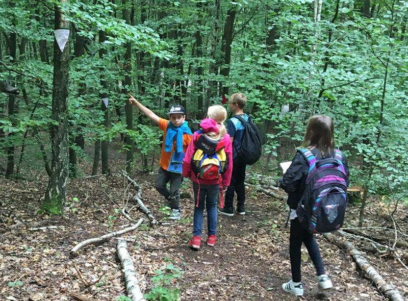 Wanderung durch den Wald im Feriencamp Brandenburg
