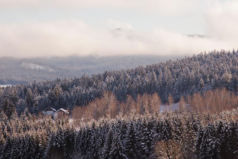 Bayerischer Wald