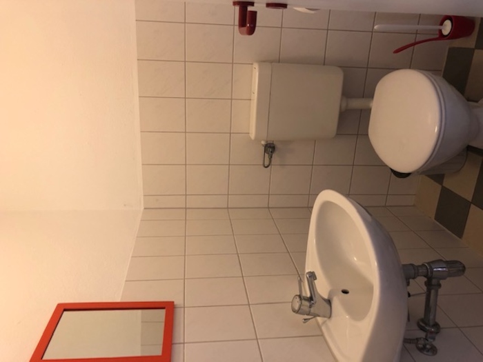 Die Toilette der Ferien auf dem Ponyhof