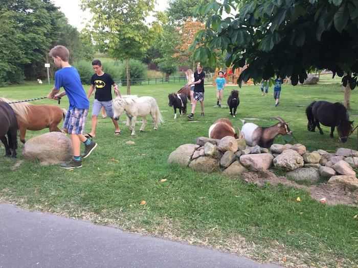 Teilnehmer der Reiterferien Schloss Boitzenburg gehen mit Ponys
