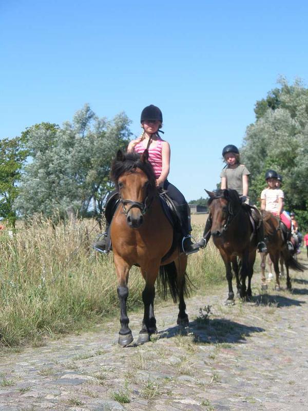 Outlet Reiterferien, Winterferien, Reiten am Strand