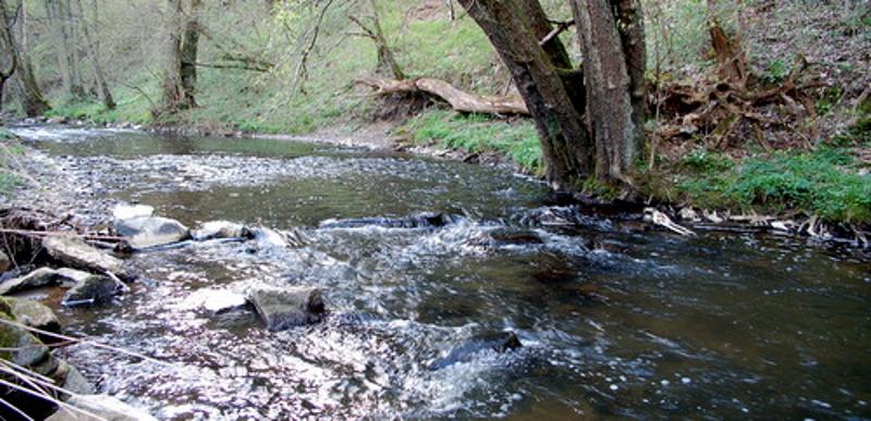 Neben den Feriensprachkursen fließt ein Fluss