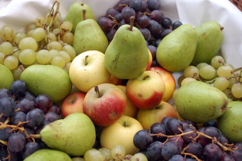 Bei Kindersprachkursen gibt es leckeres Obst