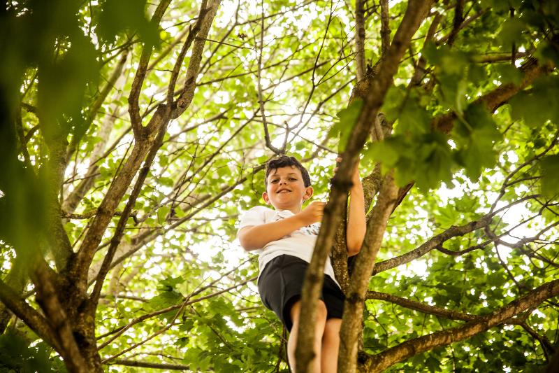 Ein Junge klettert im Ferienangebot Bayern auf einem Baum