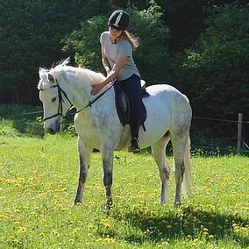 Kinder der Reiterferien für Kinder reiten