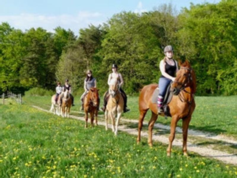 Kinder der Reiterferien für Kinder reiten durch Blumen