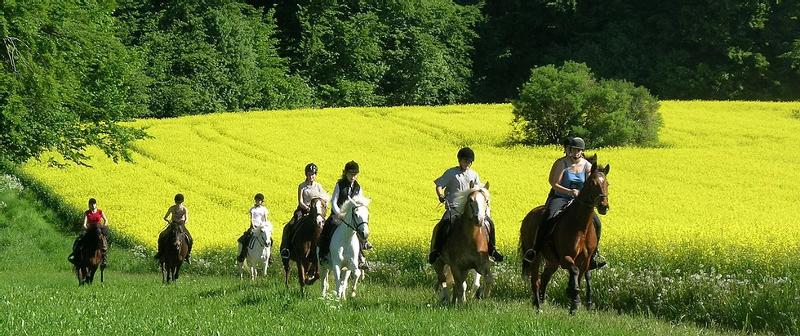 Kinder der Reiterferien für Kinder reiten durch ein Rapsfeld
