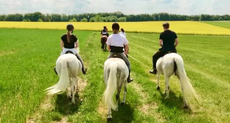 Kinder der Reiterferien für Kinder reiten durchs Gras