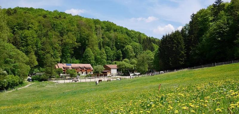 Kinder der Reiterferien für Kinder sind auf einem Gelände