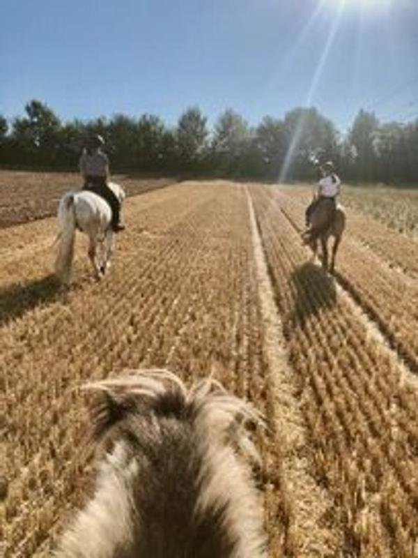 Kinder der Reiterferien für Kinder reiten im Herbst