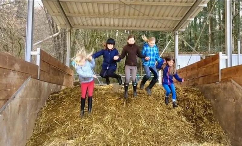 Kinder der Reiterferien für Kinder springen im Heu
