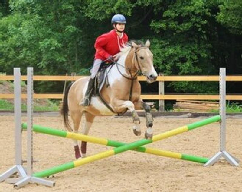 Springreiten ist bei den Reiterferien Bayern Kinder ebenfalls möglich