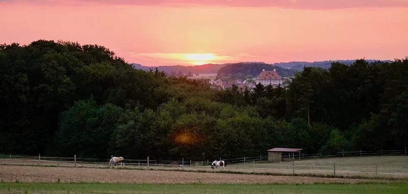 Kinder der Reiterferien für Kinder schauen den Sonnenuntergang an