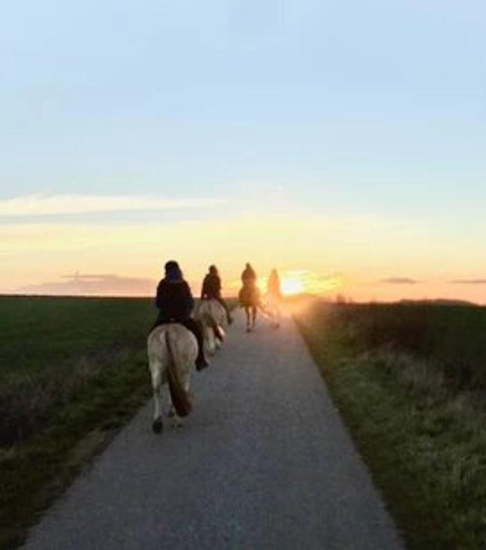 Kinder der Reiterferien für Kinder reiten in den Sonnenuntergang