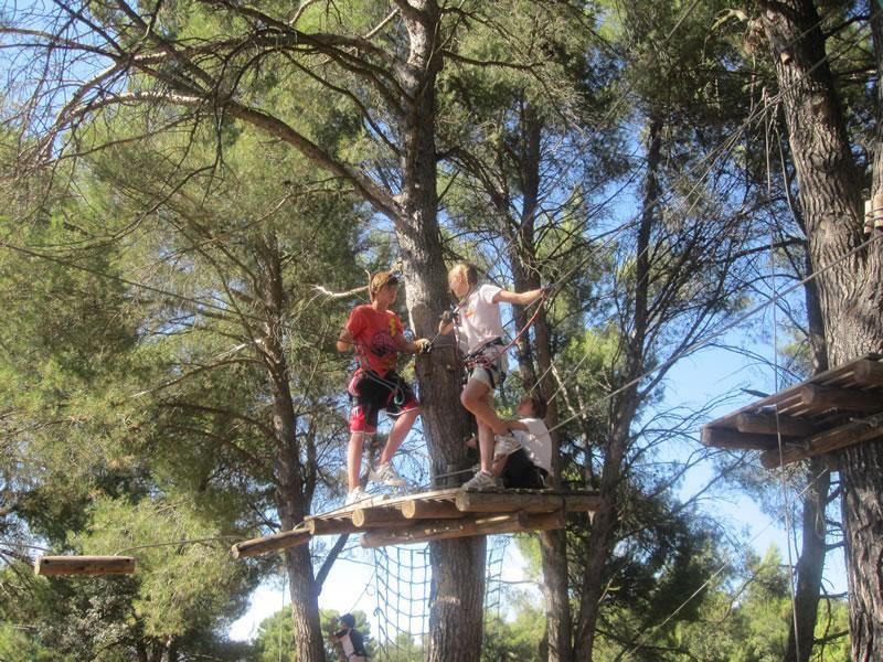 Teilnehmer einer Französisch Sprachreise sind im Kletterpark