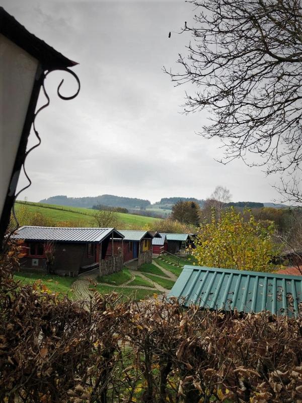 Teilnehmer eines Forschercamps sind am Feld