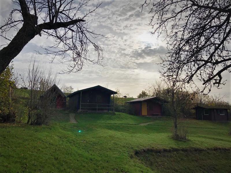 Teilnehmer eines Forschercamps sind am Feld draußen