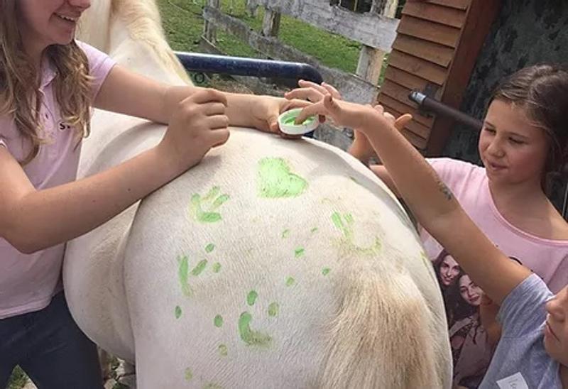 Kinder eines Reitcamps Sommer malen ein Pferd an