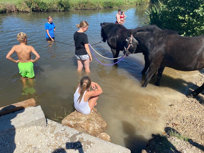 Kinder der Reiterferien Sachsen-Anhalt stehen am Wasser.