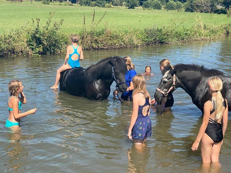 Kinder der Reitferien Rheinland-Pfalz reiten durch einen Fluss.