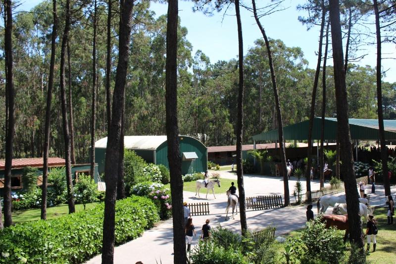In den Reitferien Portugal reiten die Teilnehmer über den Hof