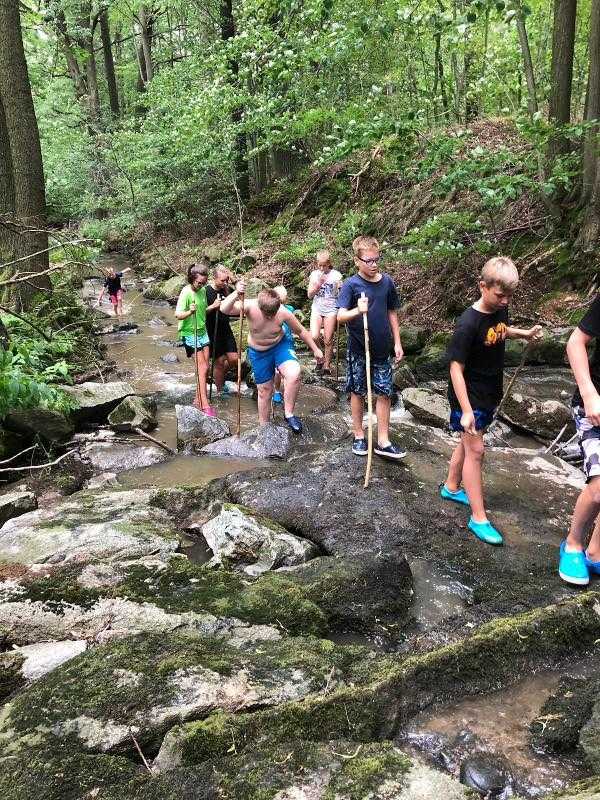 Kinder unternehmen während der Ferienbetreuung einen Ausflug in die Natur
