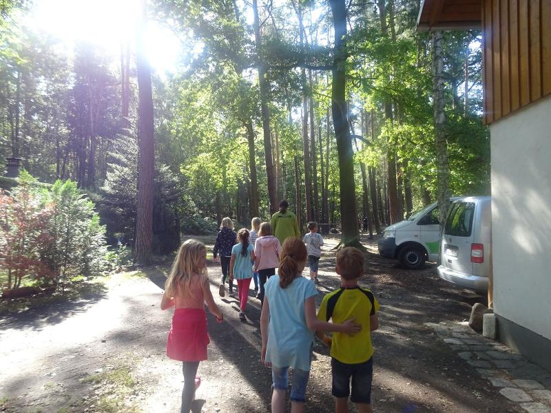 Die Teilnehmer der Ferienbetreuung stehen am Anfang eines Waldes