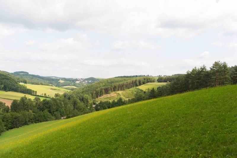 Teilnehmer eines Abenteuer Forschercamps wandern