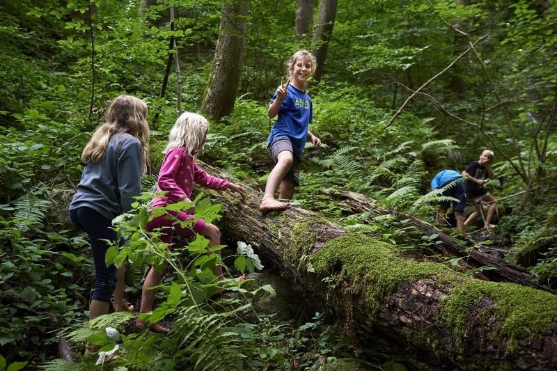 Mädchen des Sommercamps Wien sind im Wald