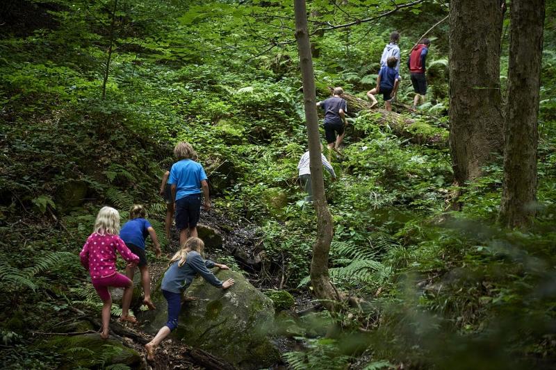 Eine Gruppe der Sommercamps Wien sind im Wald
