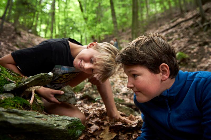 Jungs sind im Sommercamp Stadt Wien und erforschen den Wald