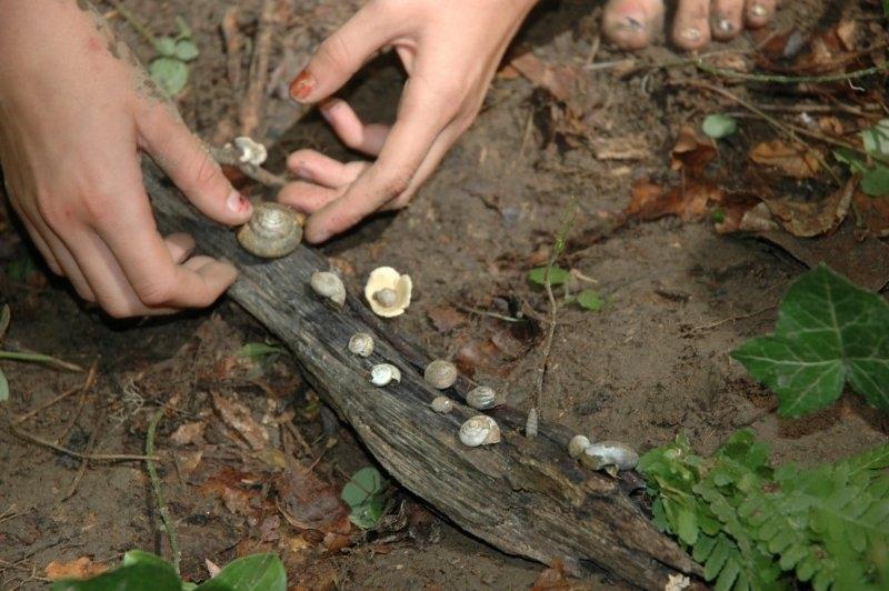 Kinder eines Abenteuer Forschercamps sammeln muscheln
