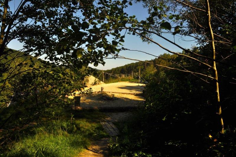 Das Campgelände des Sommercamps Wien liegt in der Sonne