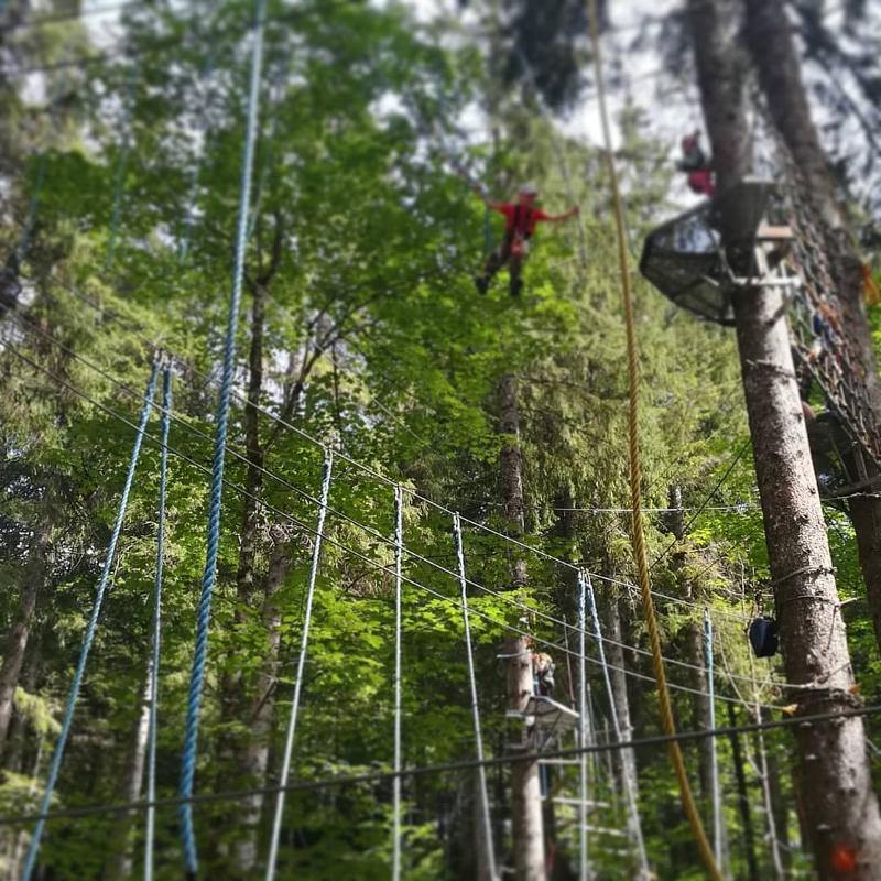 Teilnehmer eines Sportlagers sind im Kletterwald