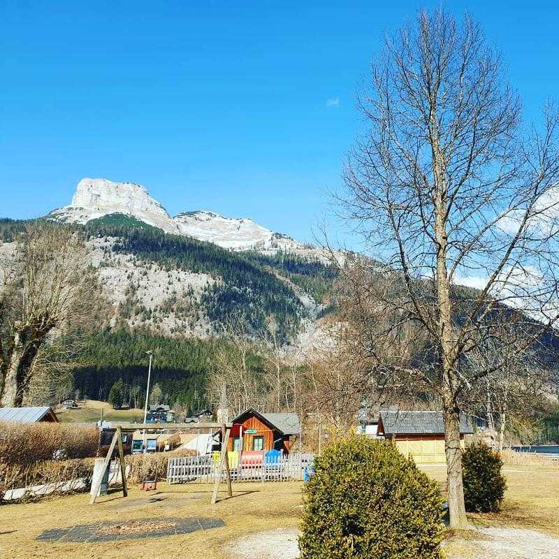 Teilnehmer eines Sportlagers sind im Streichelzoo