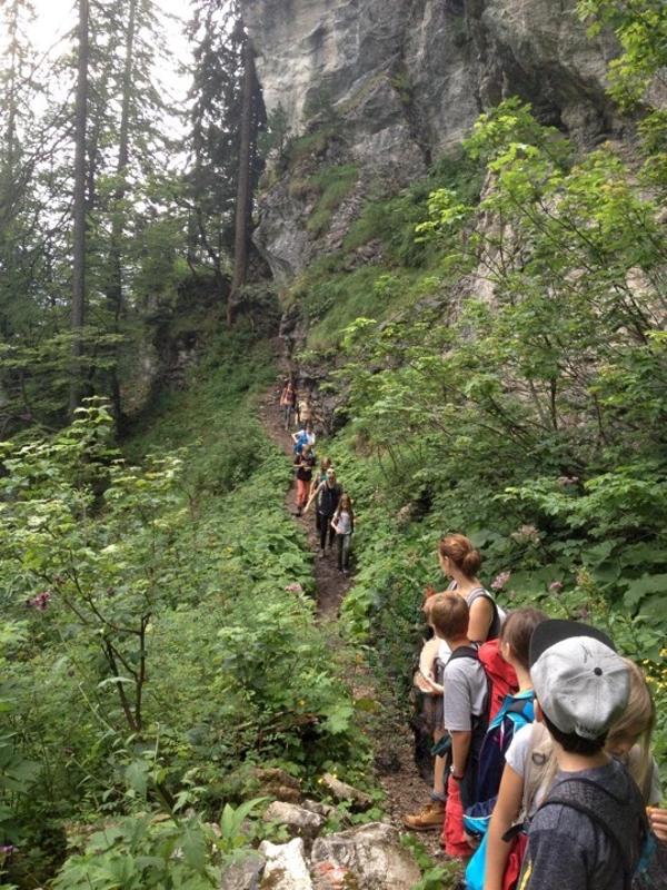 Im Outdoor-Camp gehen die Kinder auf eine Wanderung durch einen Wald