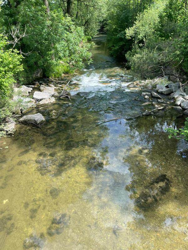 Ein Bach fließt im Wald im Outdoor-Camp