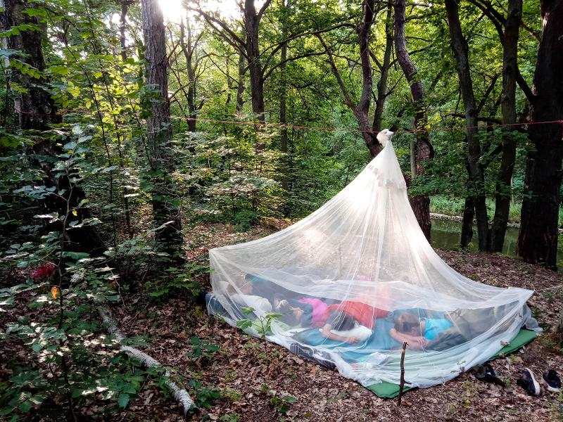 Teilnehmer eines Zeltlagers bauen eine Hütte im Wald