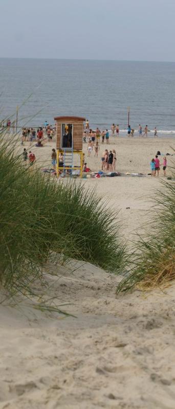 Ansicht eines Strands im Feriencamp Hannover