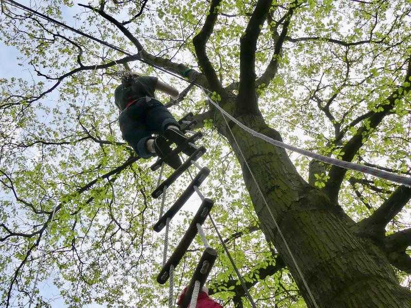 Die Kinder klettern eine Leiter im Outdoorcamp hoch