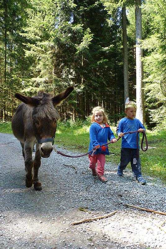 Im Sportlager sehen die Kinder einen Esel